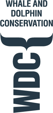 WDC Logo V D RGB