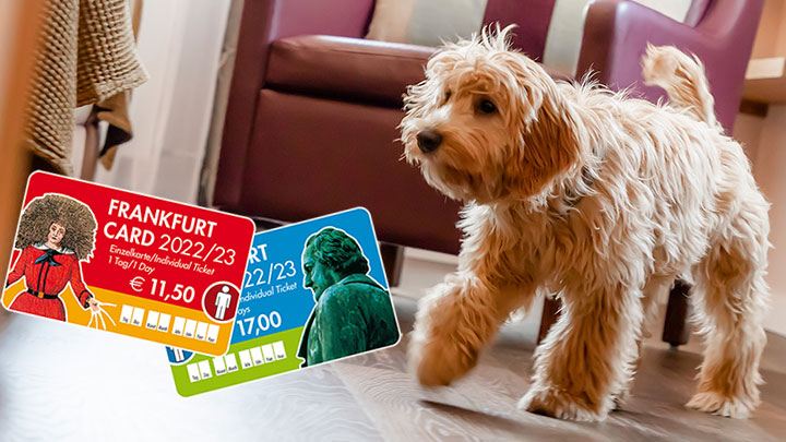 hotel villa orange biohotel erlebnis frankfurt cardhund2o22