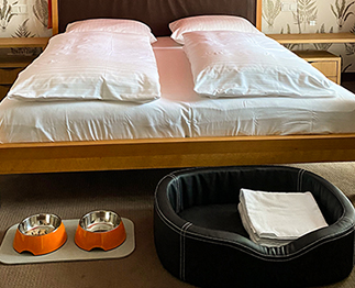 hotel villa orange frankfurt hundefreundlich4