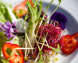 hotel villa orange frankfurt feier catering 4