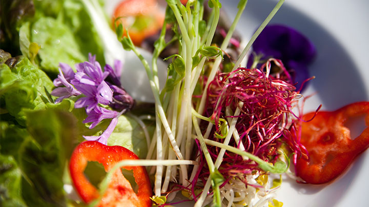 hotel villa orange tagung catering
